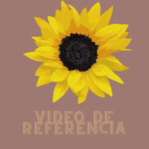 video de referencia